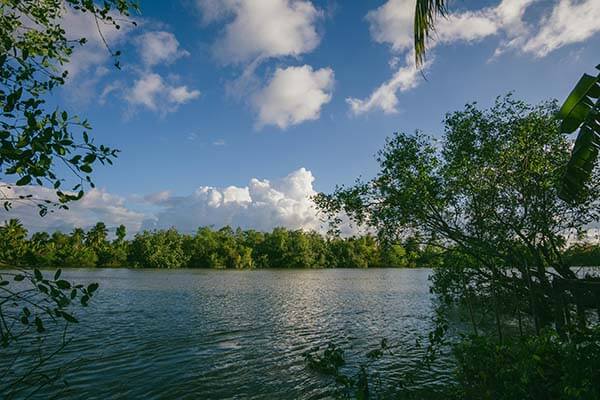 诡异的战术：让队内最高的中后卫去打进攻型的边锋，主教练这波真的是把底牌都亮出来了。